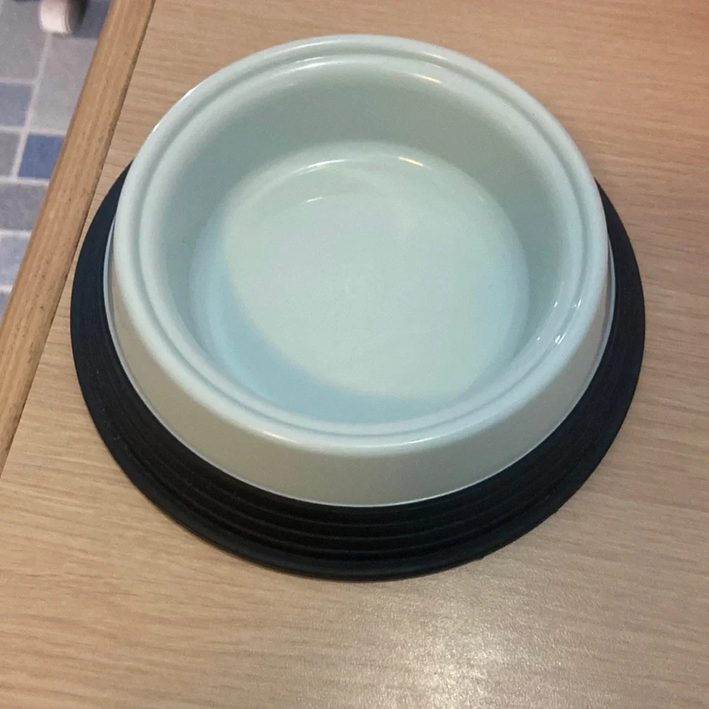 Teal cat 🐈 food or water dish